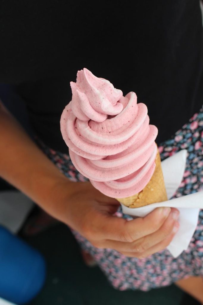 Beste ijssalon in Haarlem met vers, romig ijs in verschillende smaken