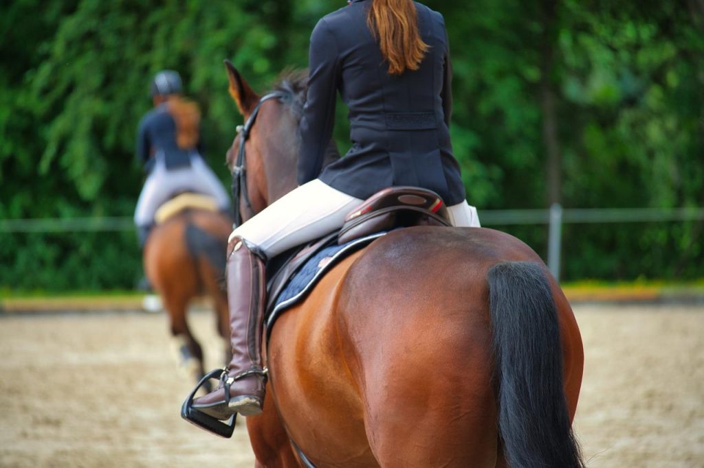Professionele ruiters op trainingssessie bij de Manege in Leeuwarden met moderne rijbaan en paardensportfaciliteiten